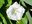 IMG_20250619_102419.jpg