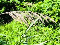 IMG_20250619_102433.jpg