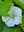 IMG_20250619_102445.jpg