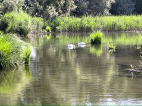 IMG_20250619_103558.jpg