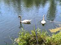 IMG_20250619_121939.jpg