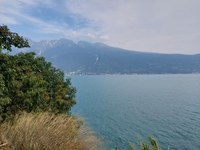 Gardasee