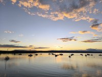 Sonnenuntergang am Ammersee
