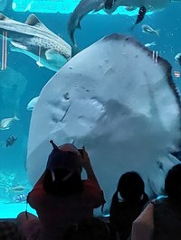 20241017_153047.jpg