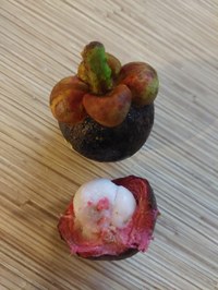Mangostane