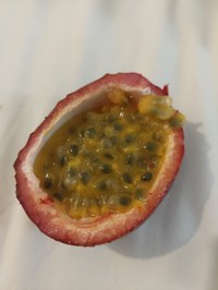 Maracuja