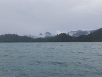 20241024_140533.jpg