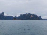 20241024_142952.jpg