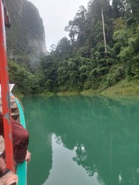 20241024_175541.jpg