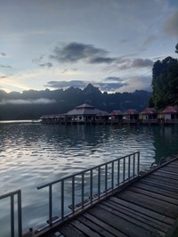 20241025_061551.jpg