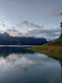20241025_062347.jpg