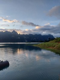 20241025_062451.jpg