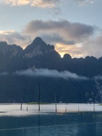 20241025_062746.jpg