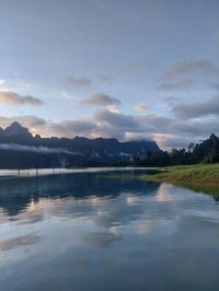 20241025_062846.jpg