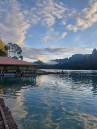 20241025_063450.jpg