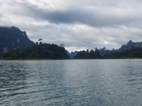 20241025_074613.jpg