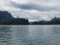 20241025_074614.jpg