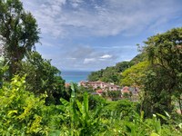 Aussicht zwischen Karon und Patong