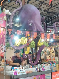 Kata Nachtmarkt