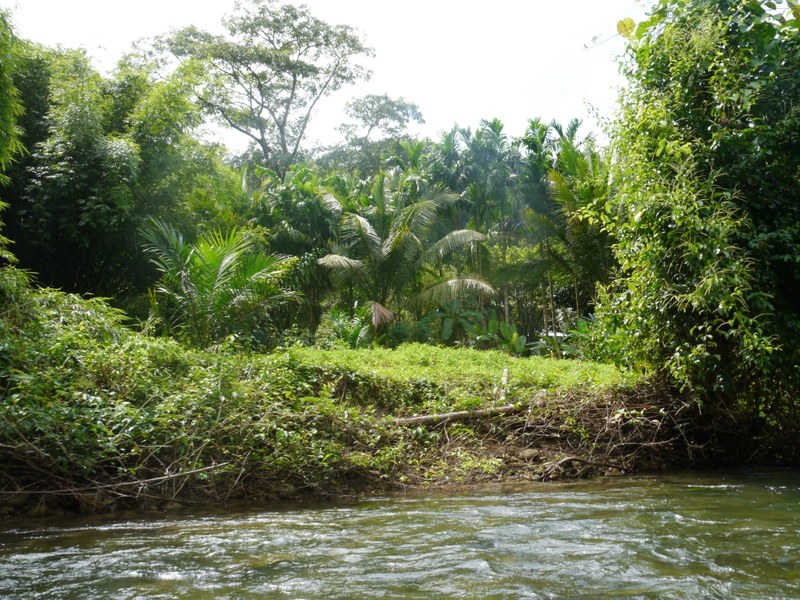 P1130136.jpg