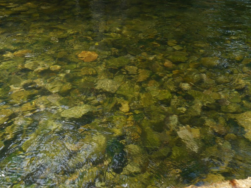P1130142.jpg
