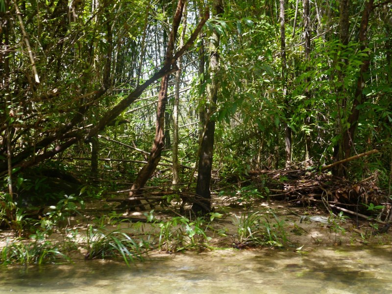 P1130148.jpg