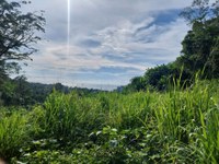 Ausblick auf Karon