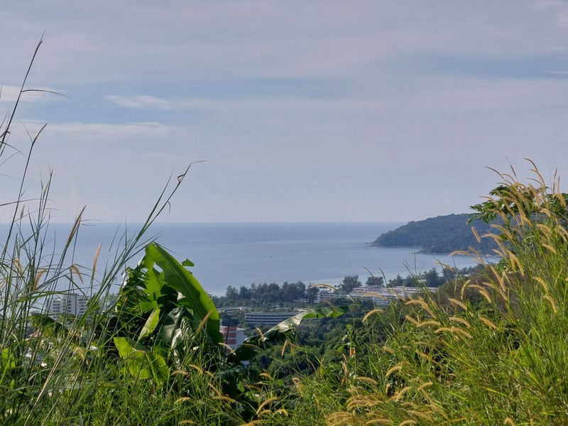 Ausblick vom Wanderweg