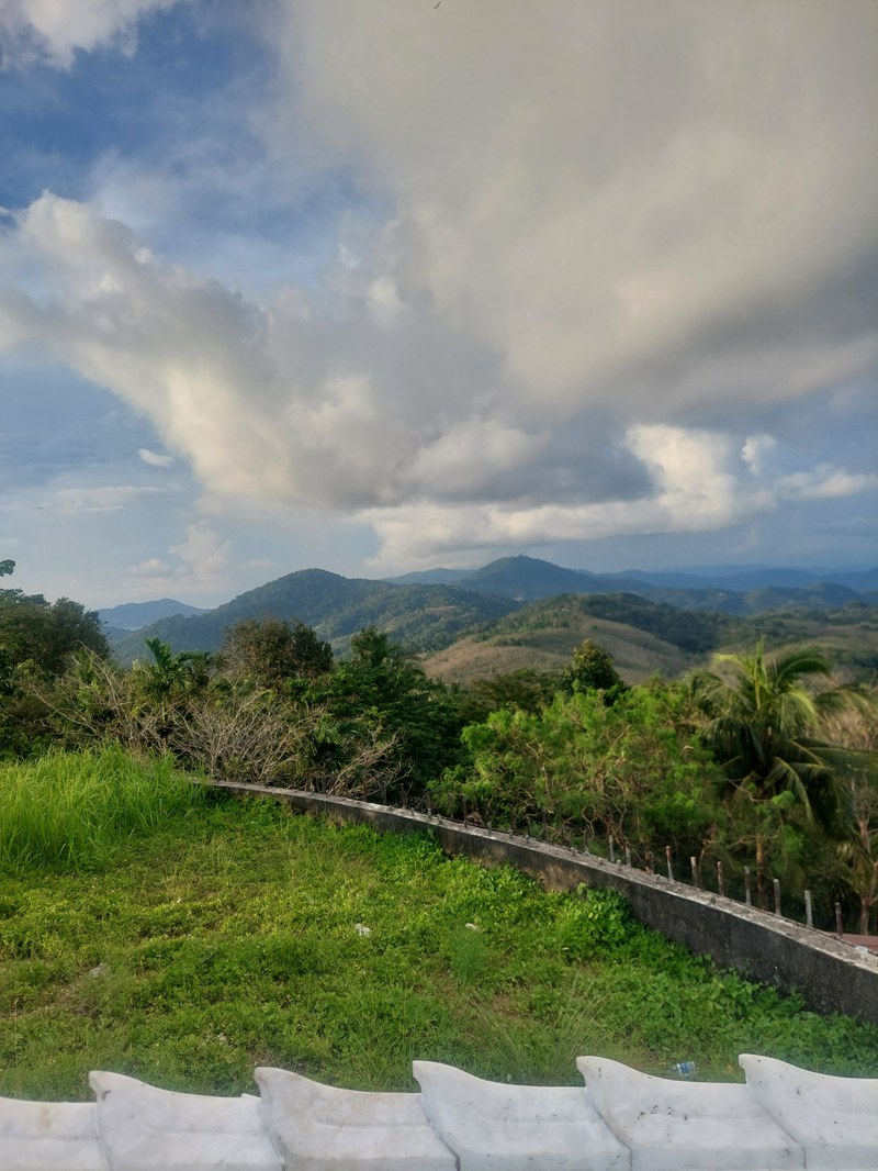 Ausblick von der Plattform