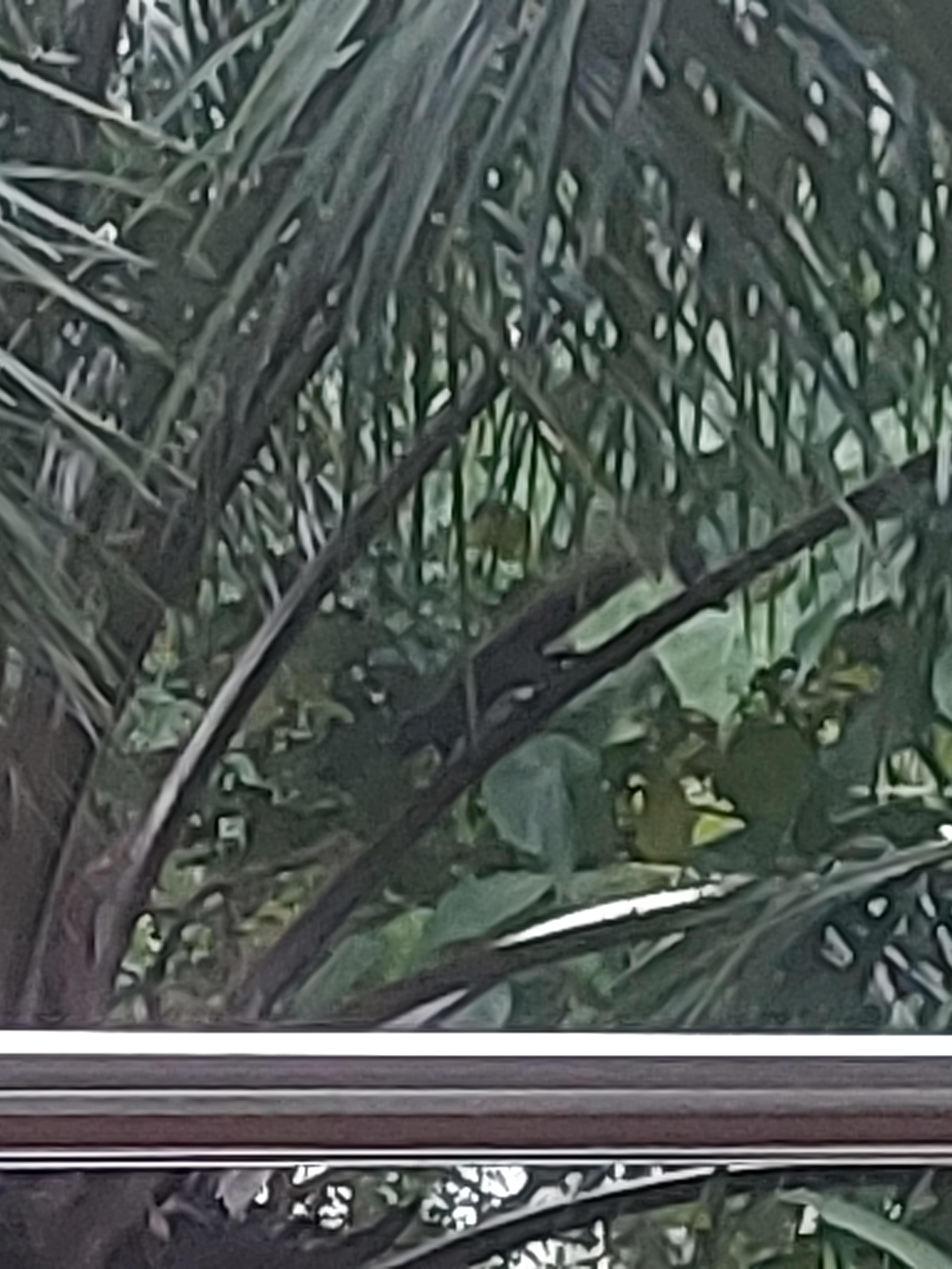 Tier vor unserem Hotelzimmer