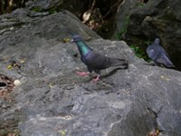 P1130201.jpg