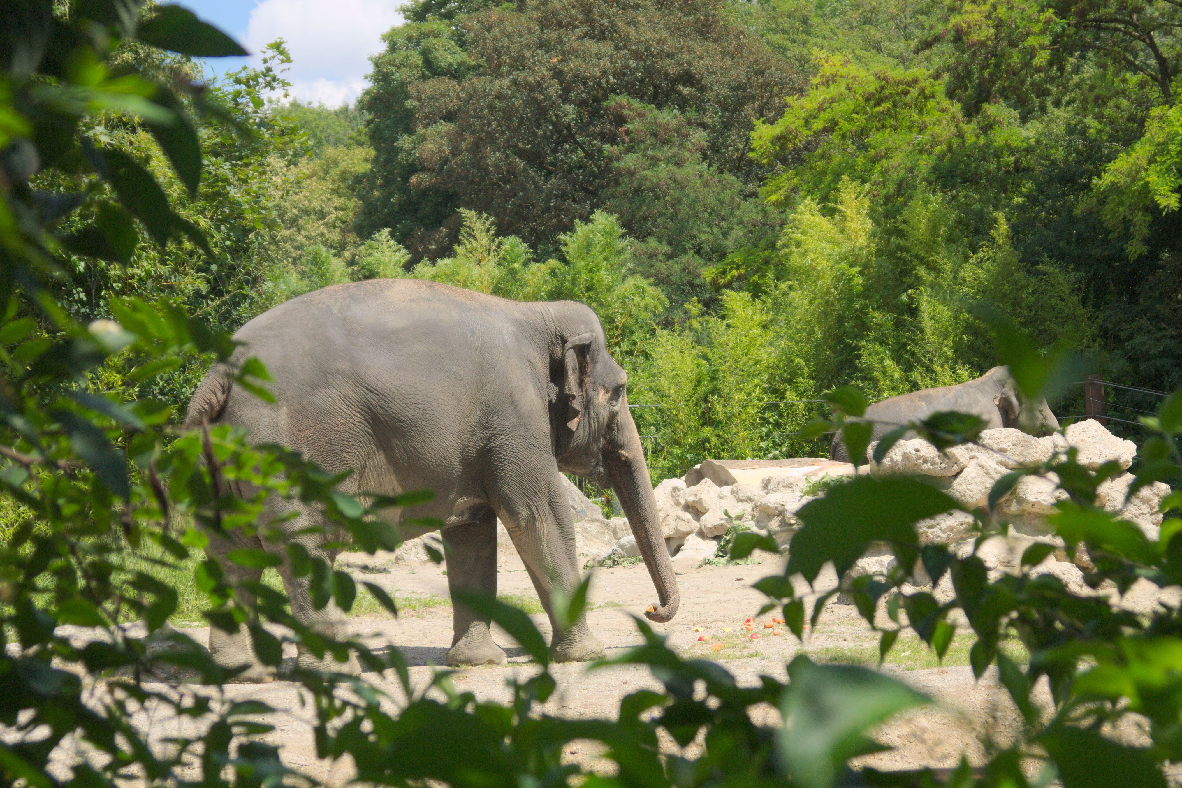 Tierpark München