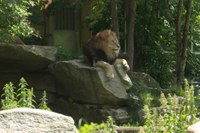 Tierpark München