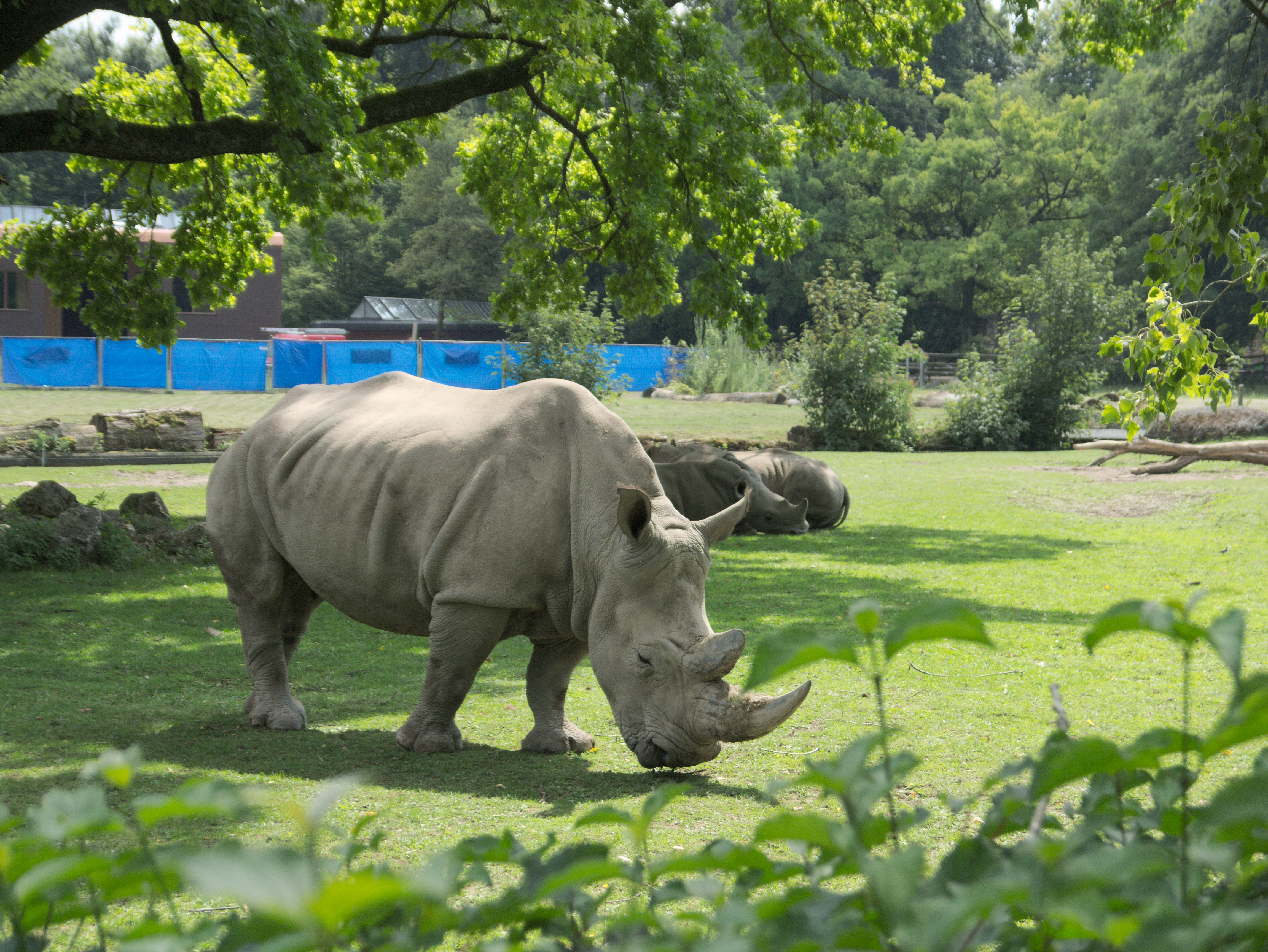 Zoo Augsburg