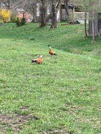 img_20250414_185310.jpg