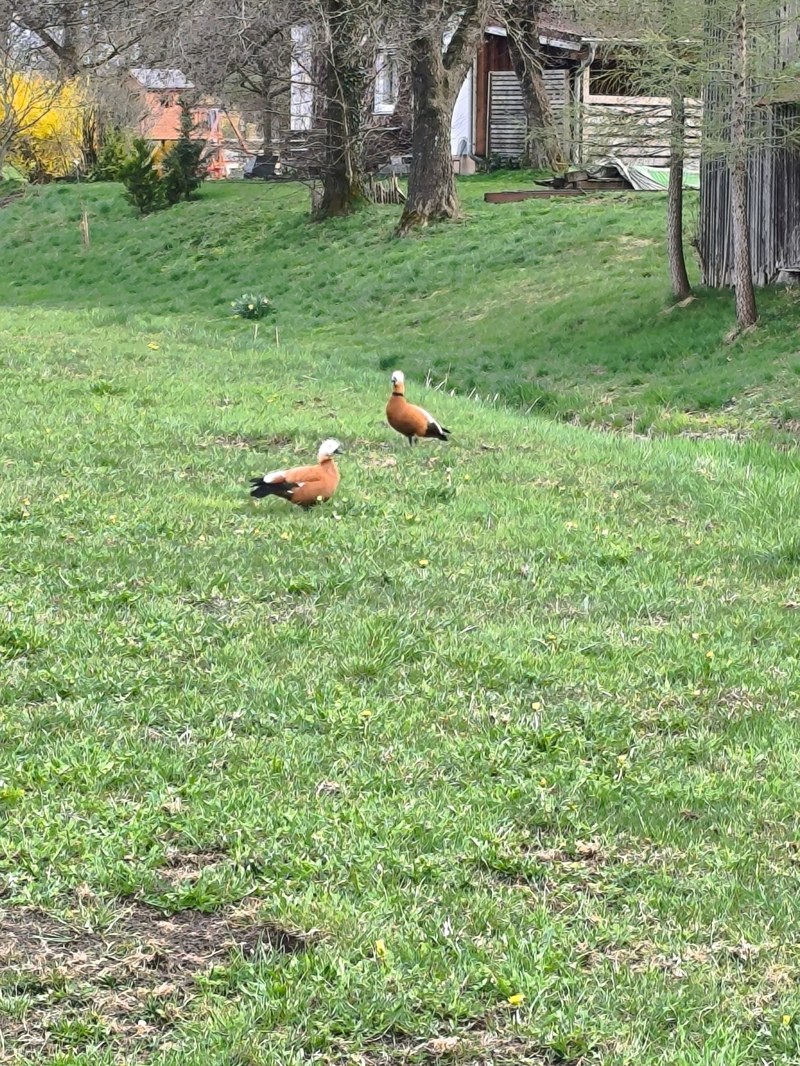img_20250414_185310.jpg