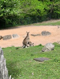 img_20250421_142926.jpg