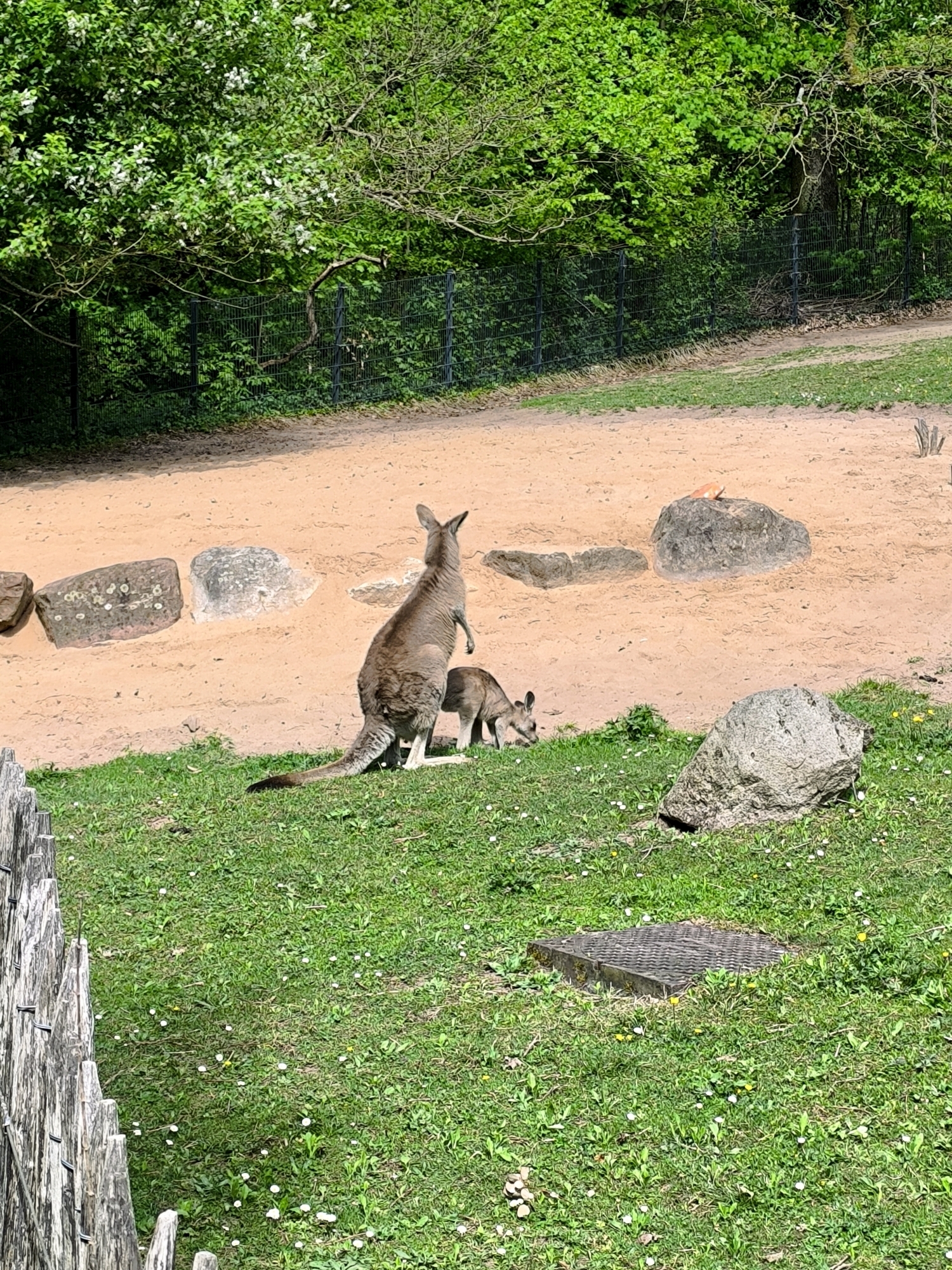 img_20250421_142926.jpg