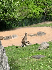 img_20250421_142935.jpg