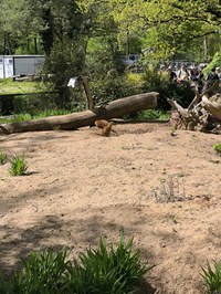 img_20250421_143757.jpg