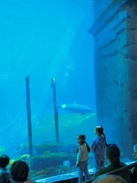 img_20250421_145007.jpg