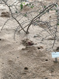 img_20250421_161734.jpg