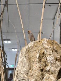 img_20250421_161832.jpg