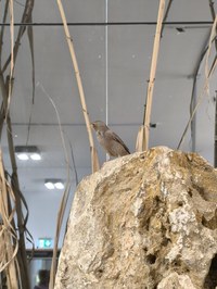 img_20250421_161834.jpg
