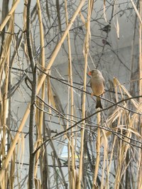 img_20250421_161916.jpg