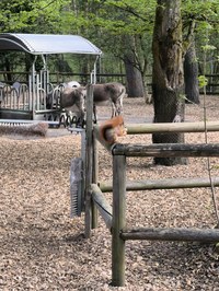 img_20250421_164434.jpg