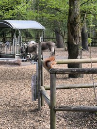 img_20250421_164436.jpg