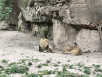 img_20250421_175717.jpg