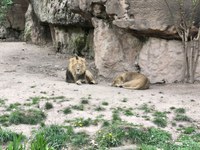 img_20250421_175720.jpg