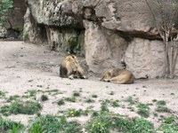 img_20250421_175722.jpg